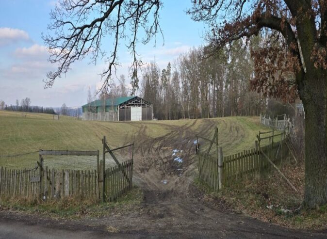 Pozemky, louky obec Tichonice – 500Kč/m2
